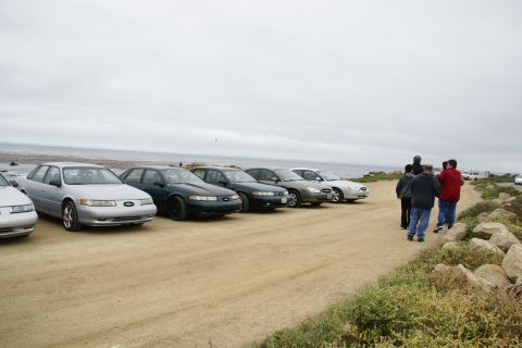 1995 Ford Taurus - Several cars are parked in a line on a dirt road near the ocean.