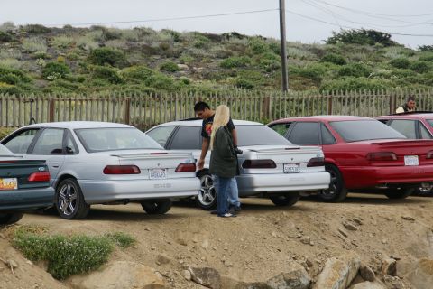 1995 Ford Taurus - Several Ford Taurus sedans are parked in a row near a wooden fence and a grassy hillside.