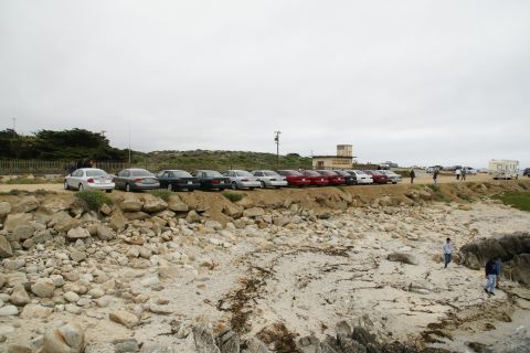 1995 Ford Taurus - A row of sedans, including a 1995 Ford Taurus, are parked on a bluff overlooking a rocky beach under an overcast sky.