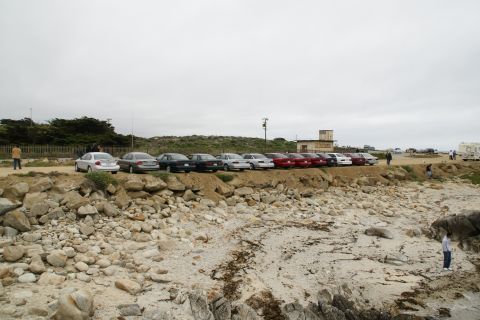 1995 Ford Taurus - A row of cars are parked on a dirt lot overlooking a rocky coastline under an overcast sky.