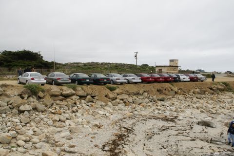 1995 Ford Taurus - A line of sedans, including a silver 1995 Ford Taurus, are parked on a dirt lot overlooking a rocky shore.