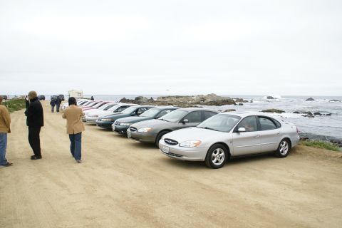 1995 Ford Taurus - A line of sedans is parked on a dirt road overlooking the ocean on a cloudy day.