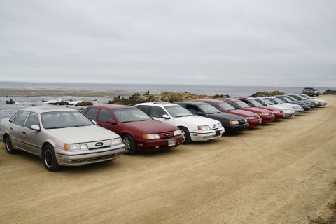 1995 Ford Taurus - Multiple Ford Taurus sedans parked in a row along the coast under an overcast sky.