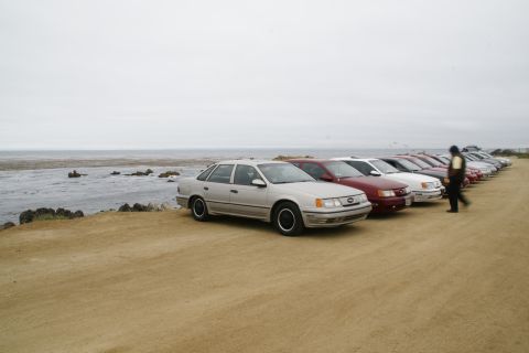 1995 Ford Taurus - A line of sedans, including a 1995 Ford Taurus, are parked on a sandy lot overlooking the ocean.
