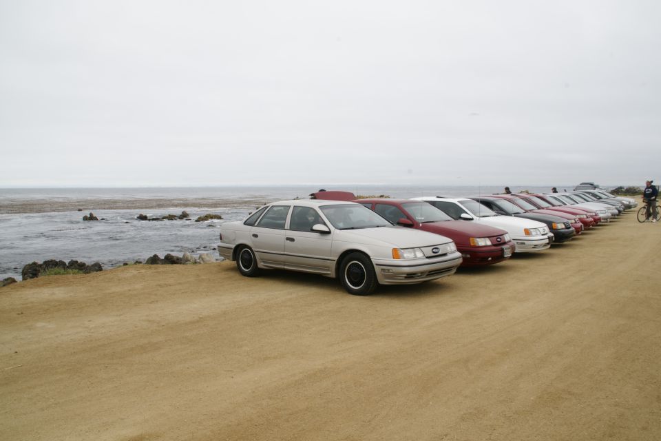 1995 Ford Taurus and other sedans parked in a line by the ocean