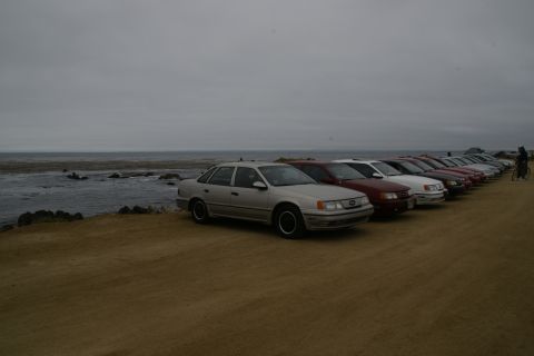 1995 Ford Taurus - A row of sedans are parked on a sandy area next to the ocean under an overcast sky.