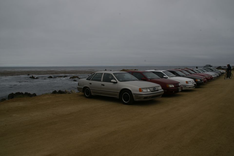 Several sedans parked in a line facing right, with the ocean and rocky shore to the left