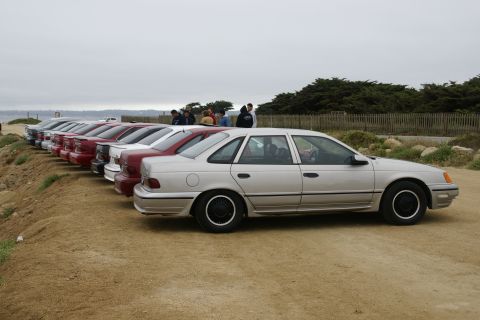 1995 Ford Taurus - A line of sedans are parked on a dirt lot with a view of the ocean and trees in the background.