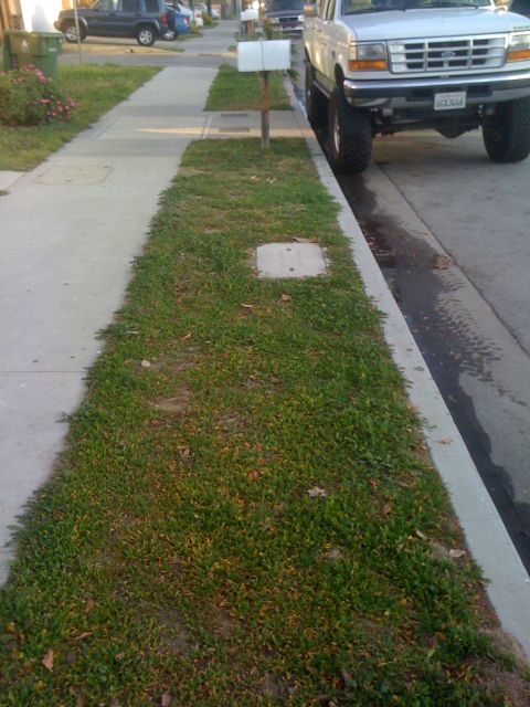 1968 Ford Mustang - A white Ford F-Series truck is parked on the street, partially on the grass verge.