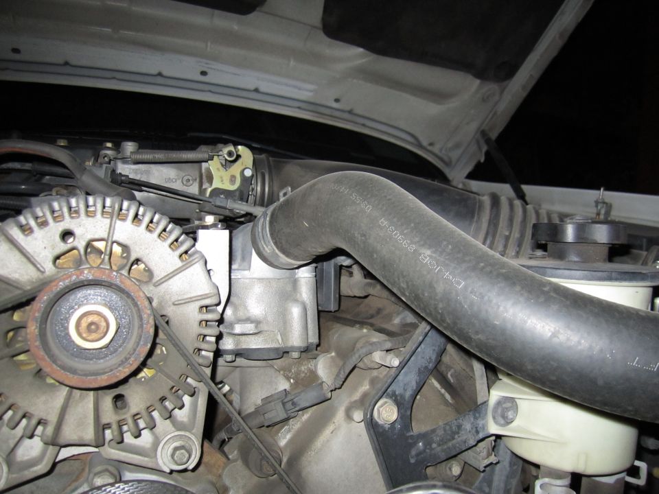 Engine bay with alternator and large black hose
