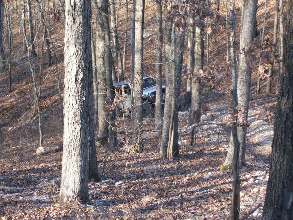 Jeep Wrangler driving through a wooded area with bare trees and fallen leaves. The vehicle is silver and seen from the front-right