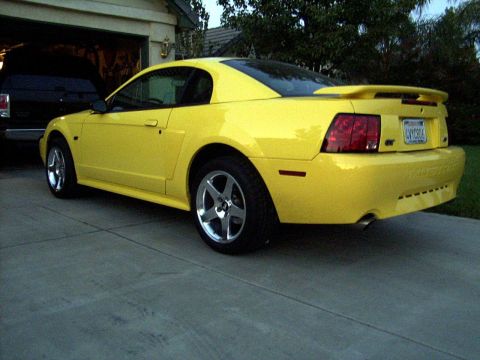 2002 Ford Mustang - New AFS 03 Cobras