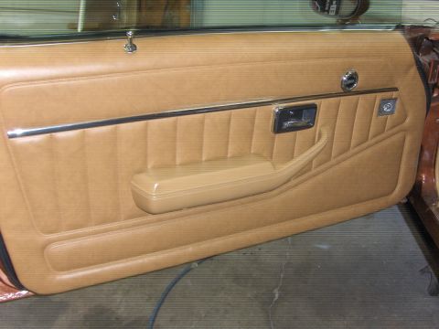 1979 Chevrolet Camaro - Close-up of a car's tan interior door panel, showing the armrest and door handle.