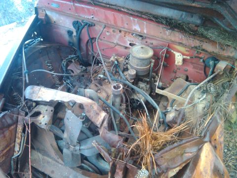 1984 Ford Bronco II “1BadB2”