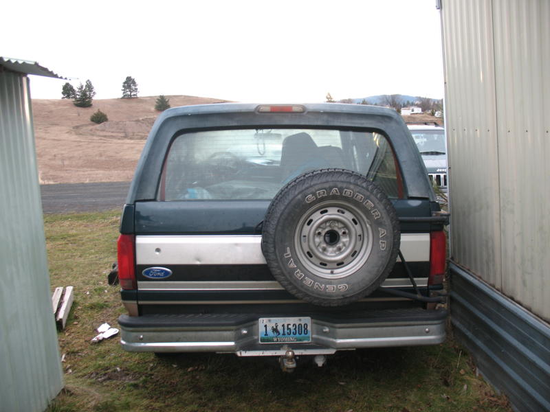 1995 Ford Bronco rear view, spare tire mounted externally. License plate reads 1 15308