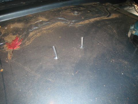 1976 Ford F-250 - Interior view of a vehicle's hood showing two screws and a fallen leaf.