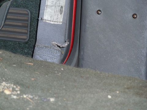 1993 Ford C-150 (Centurion Conversions) - Close-up of a worn gray seatbelt with a visible Ford badge indicating the year 1994.