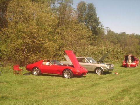 1989 Ford Mustang