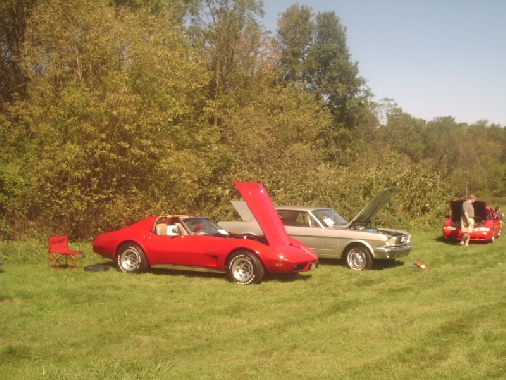 Red Corvette and silver Ford Mustang with hoods up, parked on grass with trees behind