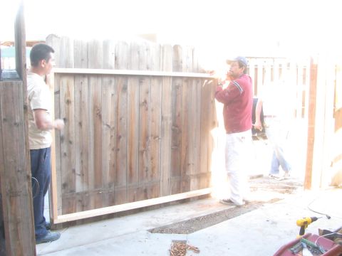 1968 Ford Mustang - Men are working together to install a new wooden fence panel in a backyard setting.