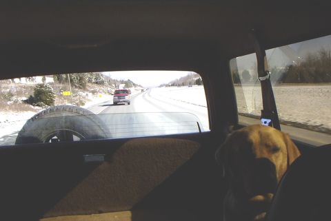 1995 Ford Bronco - Jason following me to the Mountain