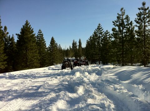1989 Ford Bronco - Two off-road vehicles navigate a snowy path through a pine forest.