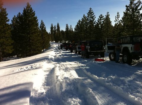 1989 Ford Bronco - Several SUVs are parked in a line on a snowy road, surrounded by pine trees under a clear blue sky.