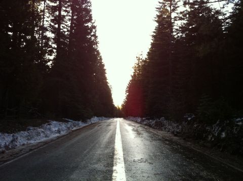 1989 Ford Bronco - A lonely road winds through a dense forest, with snow piled high on the shoulders.