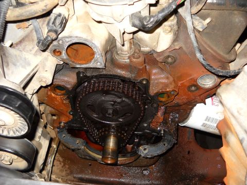 1993 Ford C-150 (Centurion Conversions) - Close-up of an engine's timing chain and gears, showing signs of rust and oil. An oil filter is also visible in the frame.