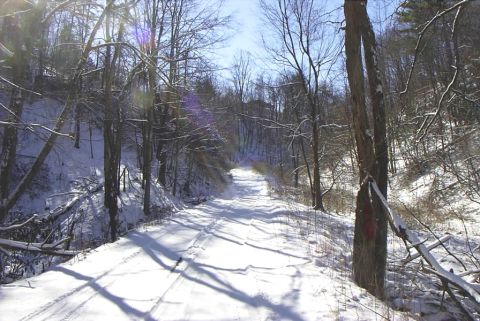 1995 Ford Bronco - A snow-covered road winds through a winter forest landscape.