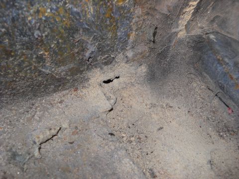 1993 Ford C-150 (Centurion Conversions) - Close-up of a corroded vehicle interior floor panel showing signs of wear and damage.
