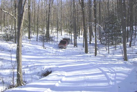 1995 Ford Bronco - Two trucks navigate a snow-covered road through a dense forest.