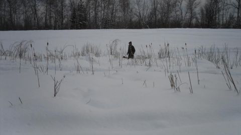 2000 Chevrolet Tahoe - A person walks through a snow-covered field with sparse vegetation and a treeline in the distance.