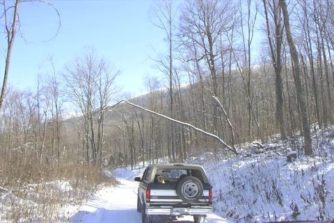 1995 Ford Bronco - A 1995 Ford Bronco navigates a snowy forest road in winter.