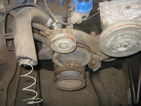 1972 Ford F-250 - Close-up view of engine pulleys and hoses, a blue distributor cap.