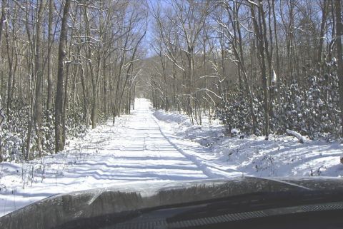 1995 Ford Bronco - The view from inside a vehicle shows a snow-covered road winding through a dense forest.