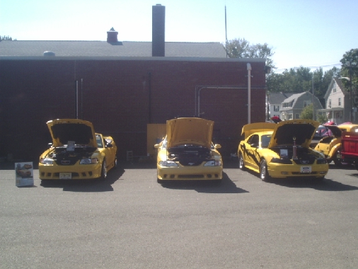Three yellow Ford Mustangs from the late 1990s with hoods open
