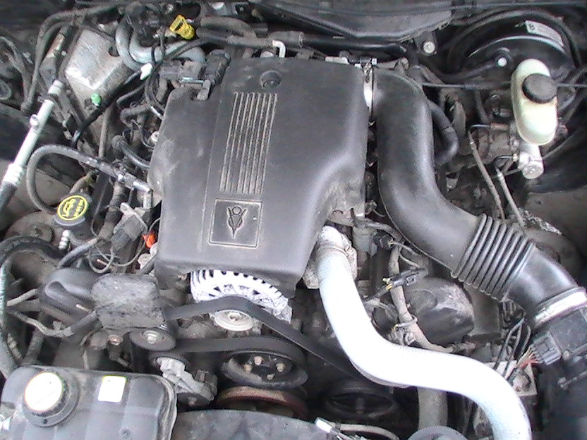 Engine bay of a 2003 Ford Crown Victoria, showing the V8 engine, air intake, alternator, and belts