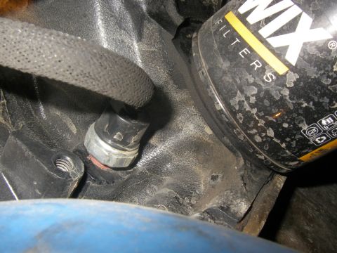 1990 Ford Bronco - Close-up of a hex-headed oil pressure switch/sending unit threaded into a dark, greasy engine block, with a black rubber hose above and a b…