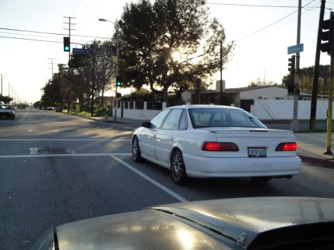 1993 Ford Taurus - A white sedan is seen from behind at a traffic light on a sunny day.