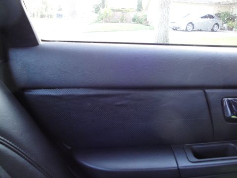 2003 Ford Taurus - Close-up of a dark interior door panel, a perforated insert and a chrome door handle.