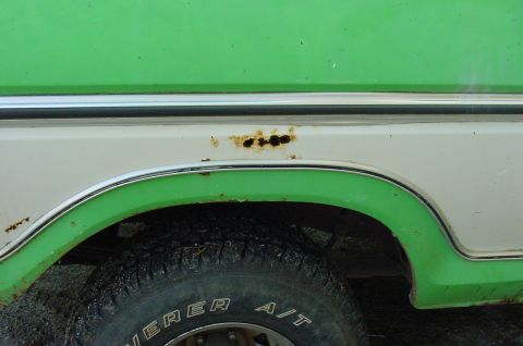 1979 Ford Bronco photo