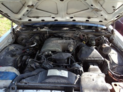 1989 Ford Crown Victoria LTD - The engine bay of a 1989 Ford Crown Victoria LTD is visible with the hood raised, revealing the engine components.