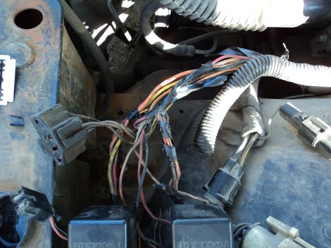 1989 Ford Crown Victoria LTD - Close-up view of a vehicle's engine wiring harness, showing exposed wires and connectors.
