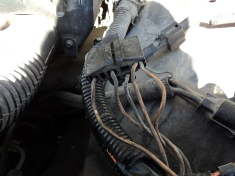 1989 Ford Crown Victoria LTD - Engine bay wiring harness connector with multiple wires.