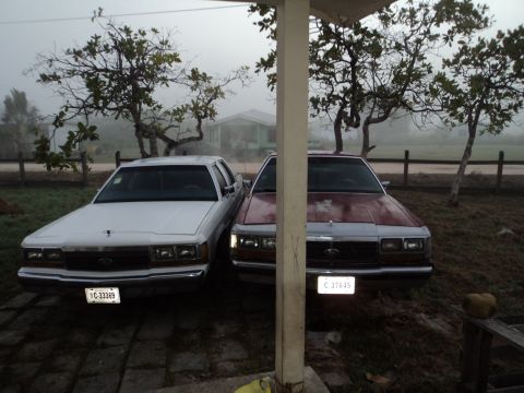 1990 Ford LTD Crown Victoria photo