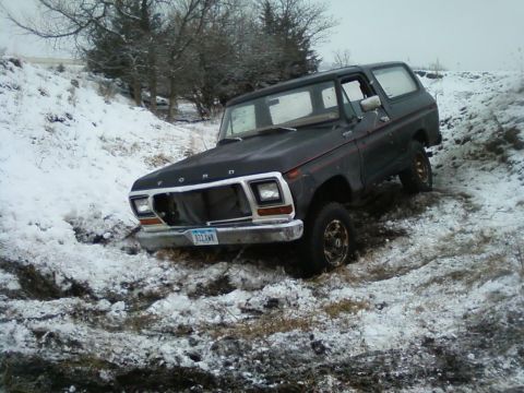 1979 Ford Bronco photo