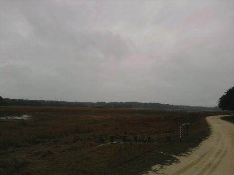 1995 Ford Bronco - A dirt road winds through a desolate marsh landscape on an overcast day.