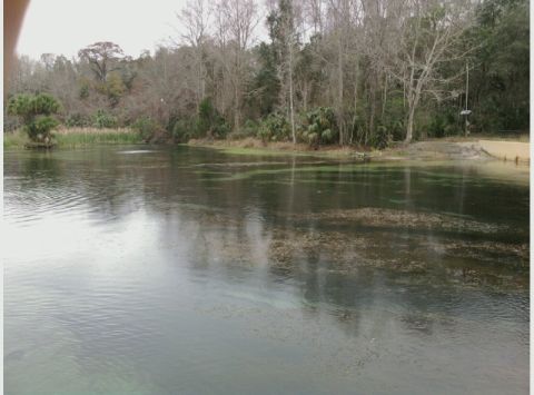 1995 Ford Bronco - A wide shot of a river with trees and vegetation lining the banks under an overcast sky.