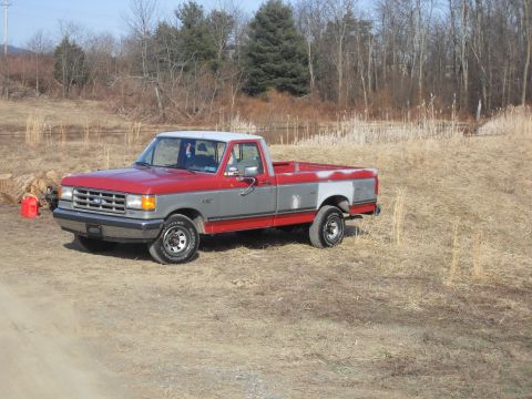 1989 Ford F-150 “victor”